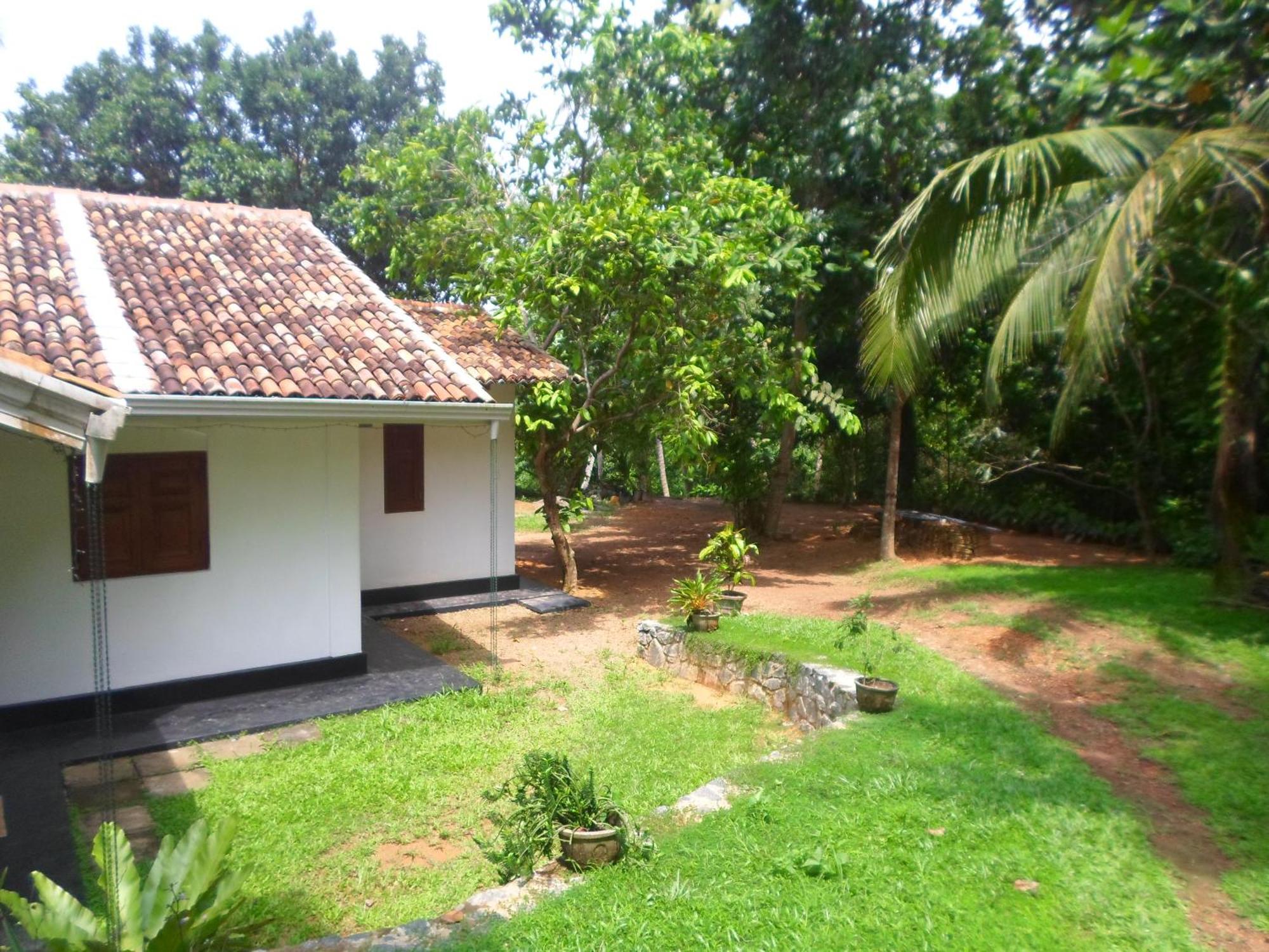 Hotel Chitra Ayurveda Bentota Habitación foto