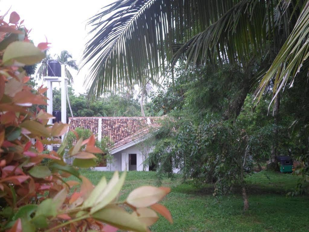Hotel Chitra Ayurveda Bentota Exterior foto